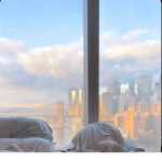 *sweet dreams