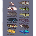 axolotl gamers pros