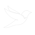 Feather Designes