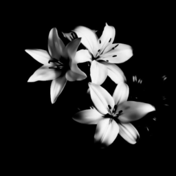 ❀