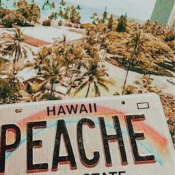 beach?