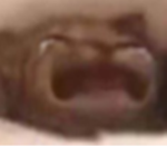 CounterBloxSweats