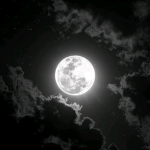 Le Sabbat