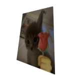 Roblox entity thumbnail