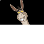 The donkey trio