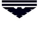 US Air Force (BRANCH)