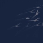 𝐩𝐞𝐫𝐬𝐨𝐧𝐚𝐥𝐢𝐭𝐲 