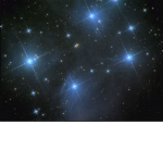 STARLIGHT OFFICIAL GROUP