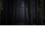 Deadlights