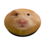Hamster Game Studios