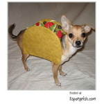 >Toco ? Taco+