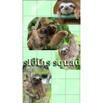 Sloth's squad