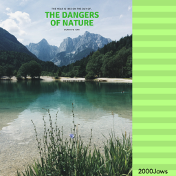 The Dangers Of Nature