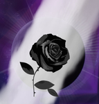 Nebulose Clan