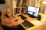 What da doge doin