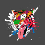 elite tigers club