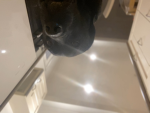 Lil furry freinds