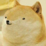 小胖滑起來