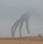 showers HATER CLUB