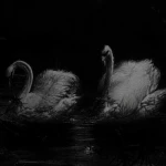 dollgrave' Group Thumbnail