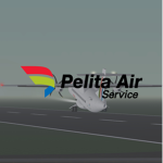 [6D] Pelita Air Service