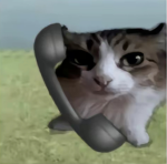 $kbroxe