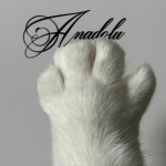 anadolu