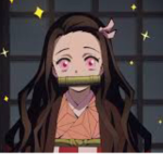 Nezuko’s box of friends