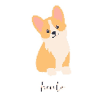 Corgi Friends!