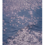 fAvOrItE oCeAn