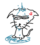 Cat Splash Inc. DEV TEAM