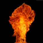 FireStorm Kindom