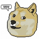 King Doge Clothing
