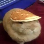 Nekomancer Clan