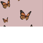 Butterflyvibesgirls