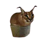 Group Thumbnail