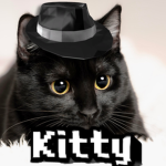 Blackkat Kitty Learns!