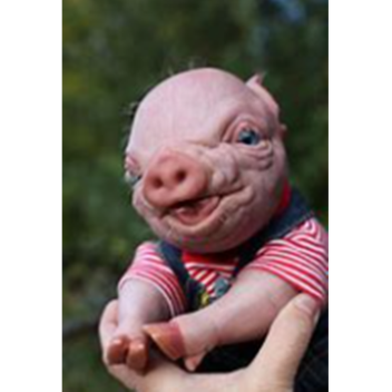 Survive the Piggy the Killer
