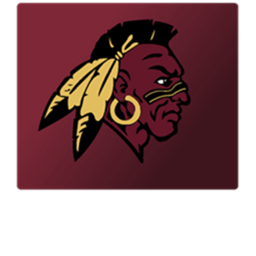Stratford Tribes, MedLife Stadium