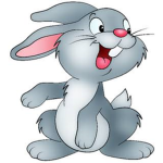 Rabbit i fans