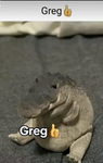 Really cool animals