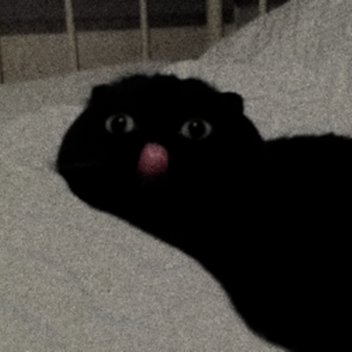 𝖙