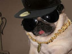 gangster doggy