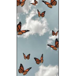 cloudy butterfly ʕ•ᴥ•ʔ