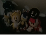 The group of the sonic fans