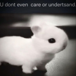 (≧ω≦)zz