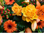 Fallinq flower