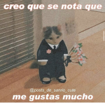 No one more