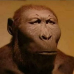 cxjaja