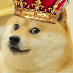 Dogs are king!